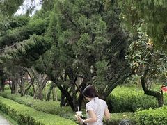 -香梨观景餐厅(西街店)