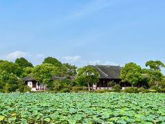 -上海海湾国家森林公园