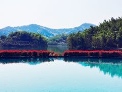 -宁波九龙湖开元度假村