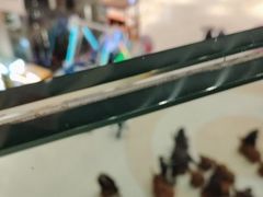 -高新活力汇Vitality