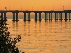 -宝安西湾红树林湿地公园