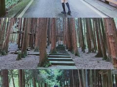 -武陵山森林公园