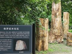 -国家植物园南园