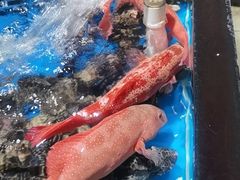 -盒马鲜生(馥邦国际店)