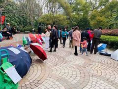 -人民公园-相亲角