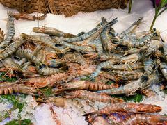 罗氏虾-初色海鲜自助(朝阳北路店)
