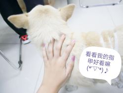 -JELLY NAIL果冻美甲
