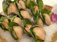 -富黎华海鲜大酒楼(正大广场店)