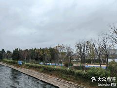 -五甲塘生态湿地公园