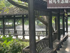 -东湖落雁景区