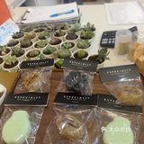 奇特的中药咖啡馆