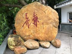 -罗三妹山