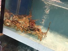 -盒马鲜生(顺义店)