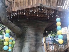 -杭州开元森泊度假乐园