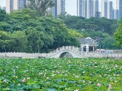 -狮山公园