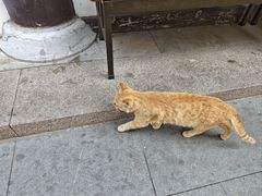 -大明寺素斋