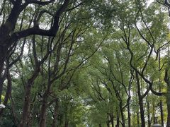 -上海虹桥迎宾馆