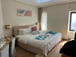 -爱陪伴尊享月子中心(国际店)