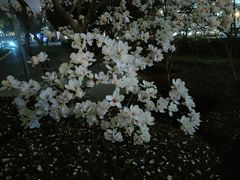 -哈根达斯(滨江店)