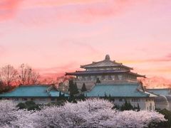 -武汉大学-樱园