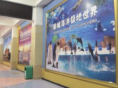 -泉城欧乐堡梦幻世界