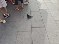 -詹爷爷乌节路街头冰淇淋