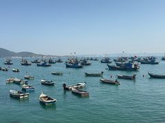 -海源公园