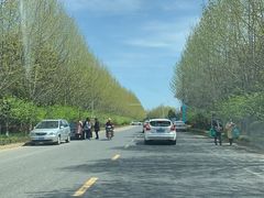 -南京金牛湖风景区