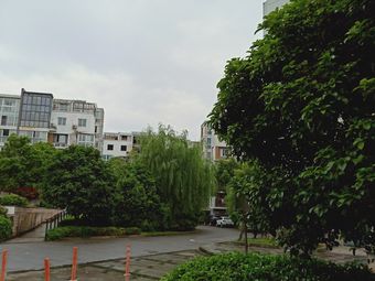 古城新境2条评价|人均￥6610小区|九龙湖风景区香树湾花果园我要评价