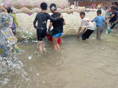 -西双版纳傣族园