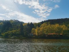 -庐山风景区花径公园