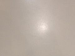 -狐狸和向日葵(北京路店)