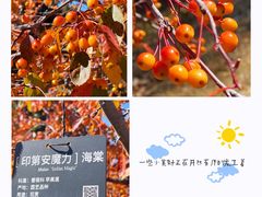 -国家植物园