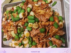 -胡胜锐辣椒炒肉(河北店)