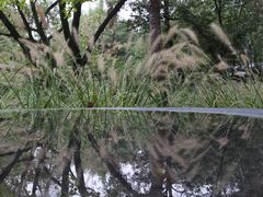 -木守西溪溪隐餐厅