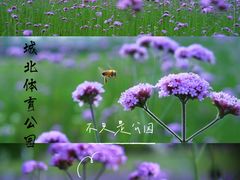 -杭州城北体育公园