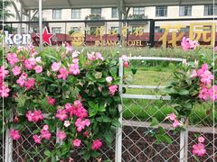 -锦江宾馆-花园餐厅