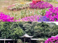 -广州市白云山风景名胜区