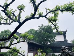 -东山雕花楼