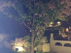 android_upload_pic-北京九华山庄会展酒店