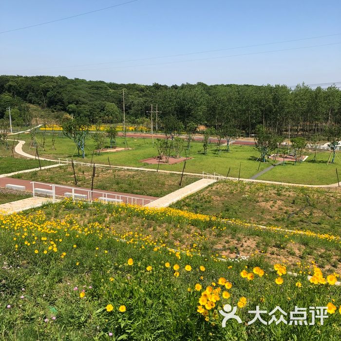 佛手湖郊野公园