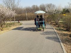 -永定河休闲森林公园