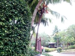 -白沙门生态公园