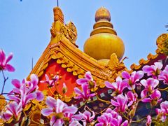 -东华门大街小区