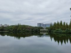-成都南湖公园