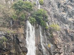 -上海辰山植物园