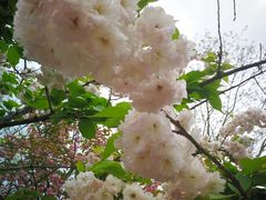 -仙海旅游度假区