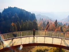 -山王坪喀斯特国家生态公园