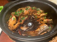 -金龙寨(解西店)