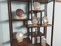 -温州中升华奥奥迪4S店(塘下店)